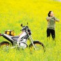 菜の花畑