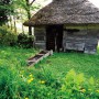 山口の水車小屋