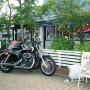JJ.Cafe & Diner