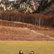 みずがき山自然公園