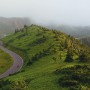 志賀草津高原道路