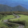 霧降高原道路