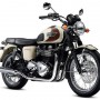 特別色も豊富に豪華なラインナップ:TRIUMPH