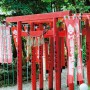 石神さん