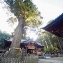 富士浅間神社