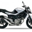 シックな色合いの銀×黒が追加：SUZUKI GLADIUS/ABS