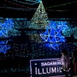 400万超のLEDで彩られる”さがみ湖イルミリオン”