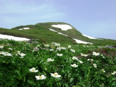 Headway 室根山〜気仙沼 ツーリング