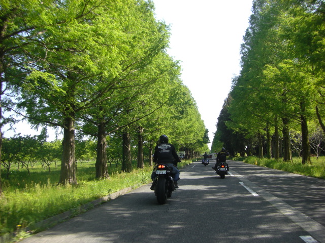 Zero Flags バイクツーリングクラブ紹介 レディスバイク