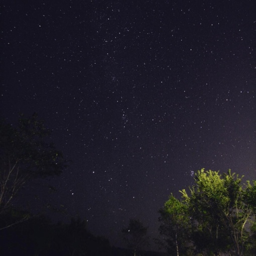 8月12日夜、みんなで“ペルセウス座流星群”をバイクで見に行きませんか?