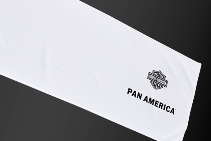 Pan America デビューフェア 特製タオル